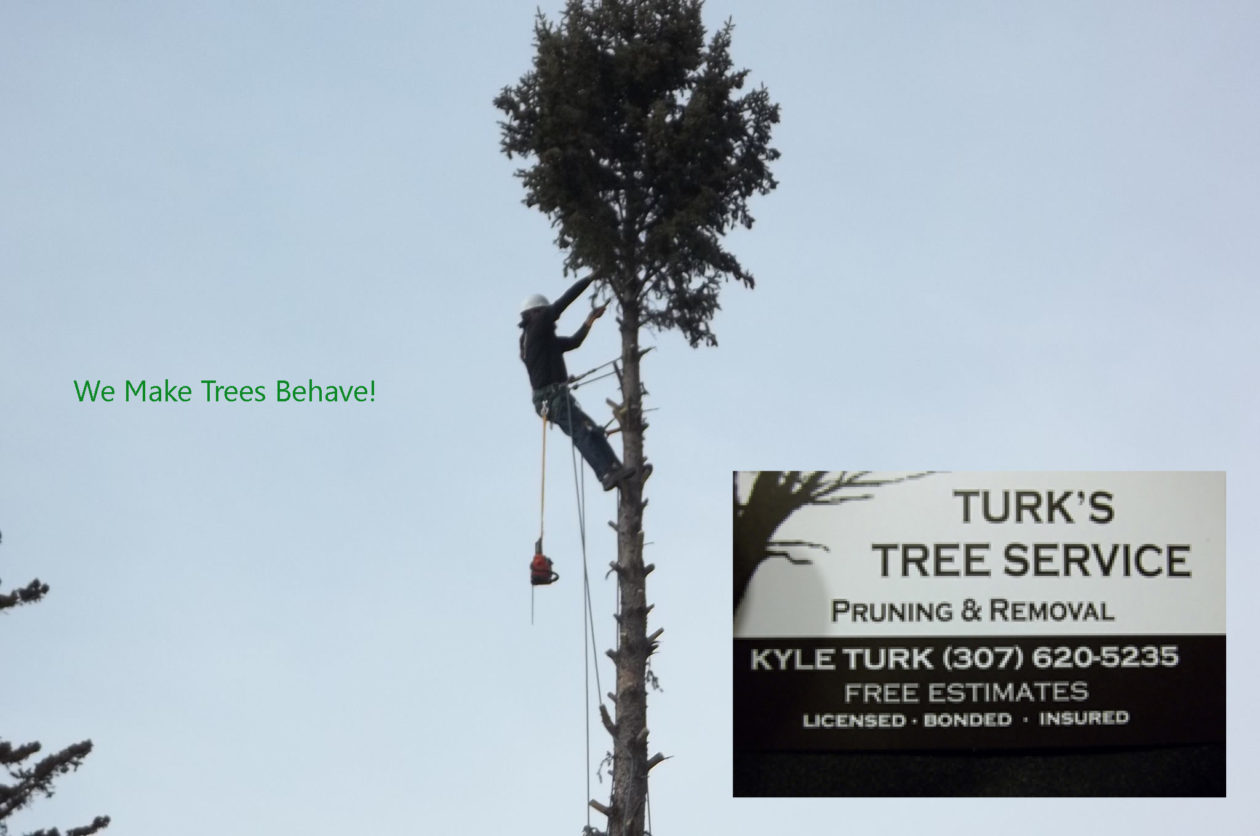 Turk's Tree Service 